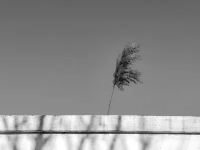 Kaszinó Classy Slots Mobilalkalmazás